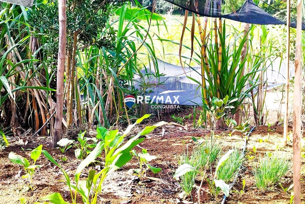 Chácara / Sítio / Fazenda - Venda - Ipanema , Minas Gerais - 9_pro-tX7ov5E5_watermark_dom._23062024_093014.jpg - 870451004-116