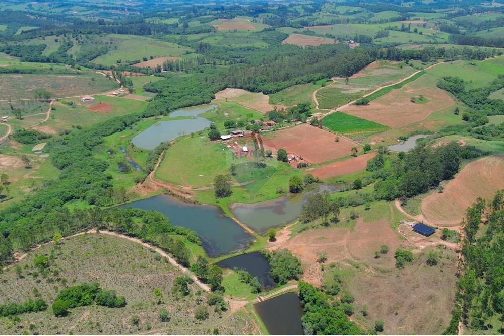 Chácara / Sítio / Fazenda - Venda - Jacuí , Minas Gerais - FAZENDA SÃO JORGE-2.jpeg - 870601027-10
