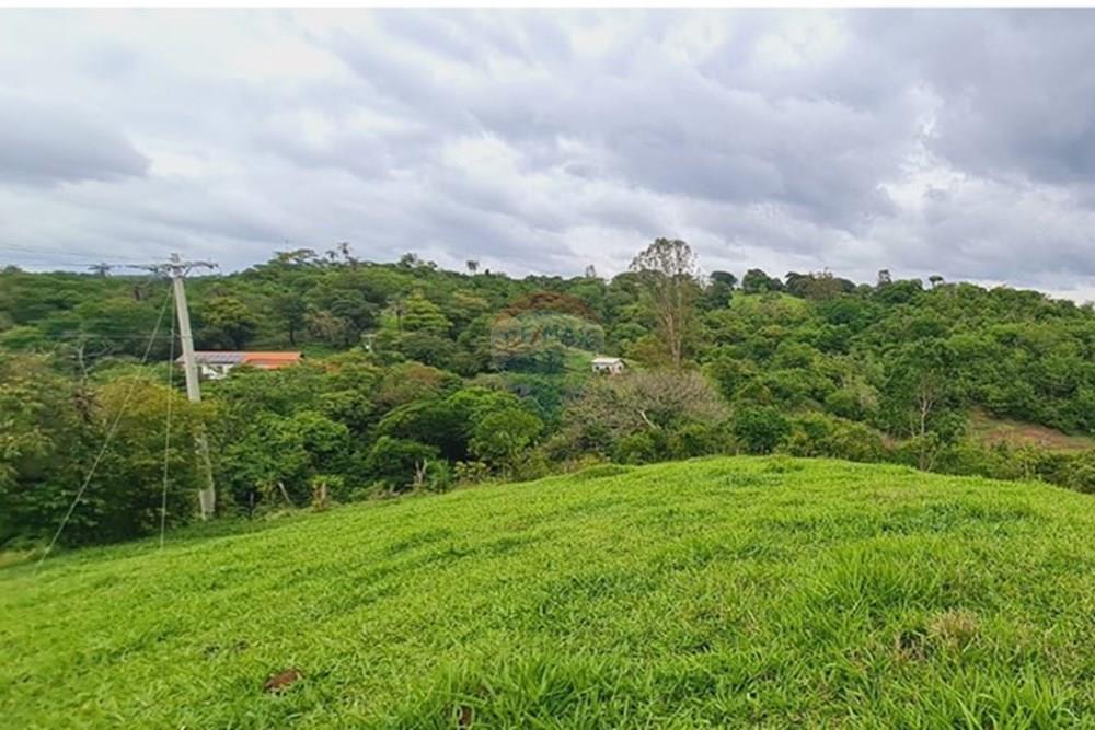 Fazenda - Venda - Pedro Leopoldo , Minas Gerais - WhatsApp Image 2025-12-11 at 15.17.57 (2).jpeg - 870411117-34