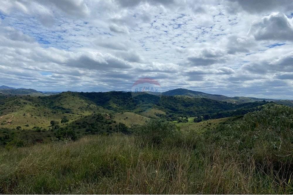 Chácara / Sítio / Fazenda - Venda - Governador Valadares , Minas Gerais - WhatsApp Image 2025-01-21 at 12.29.22 (1).jpeg - 870671017-100