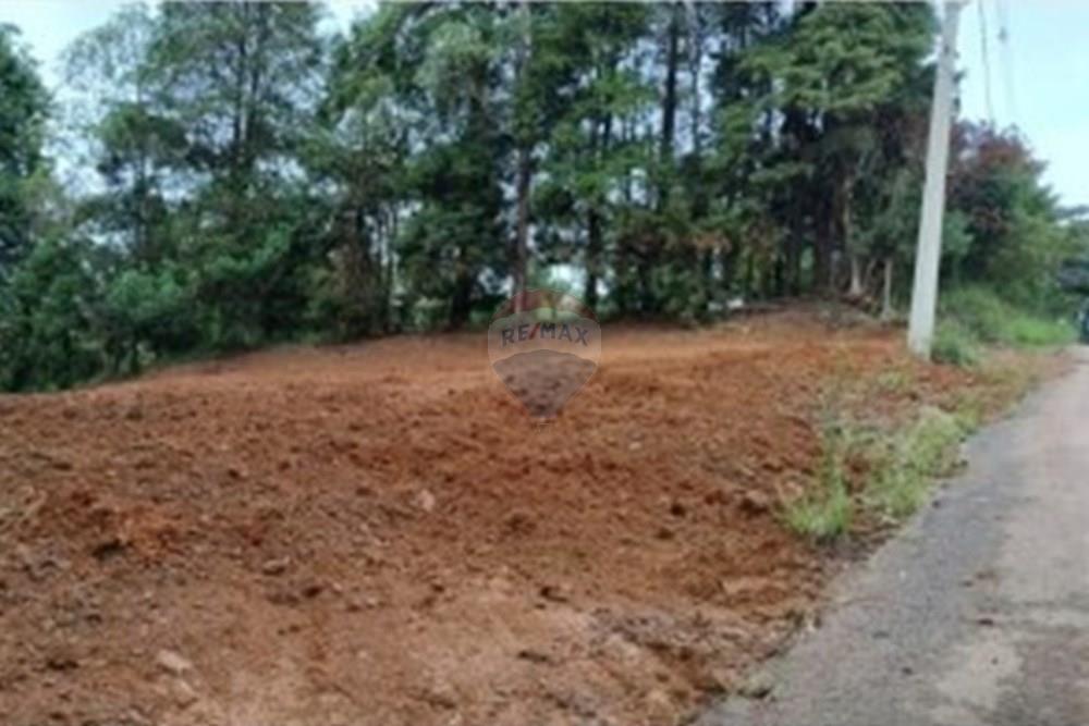 Terreno - Venda - Poços de Caldas , Minas Gerais - Captura de tela 2026-03-12 100903.jpg - 870361071-16