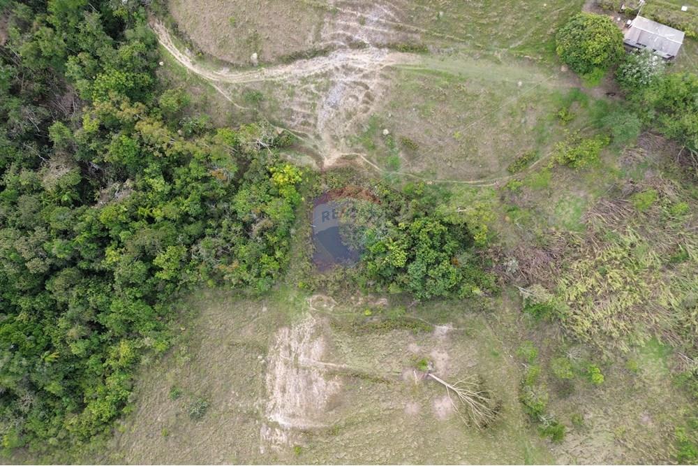 Fazenda - Venda - Araxá , Minas Gerais - 09.JPG - 870431045-55