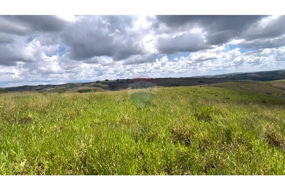 Fazenda - Venda - São Roque de Minas , Minas Gerais - Gleba 2 A.jpg - 870431039-44