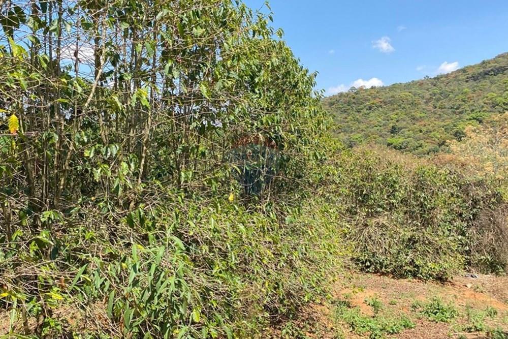 Chácara / Sítio / Fazenda - Venda - Casa Grande , Minas Gerais - WhatsApp Image 2025-11-10 at 11.27.36 (2).jpeg - 870411117-20