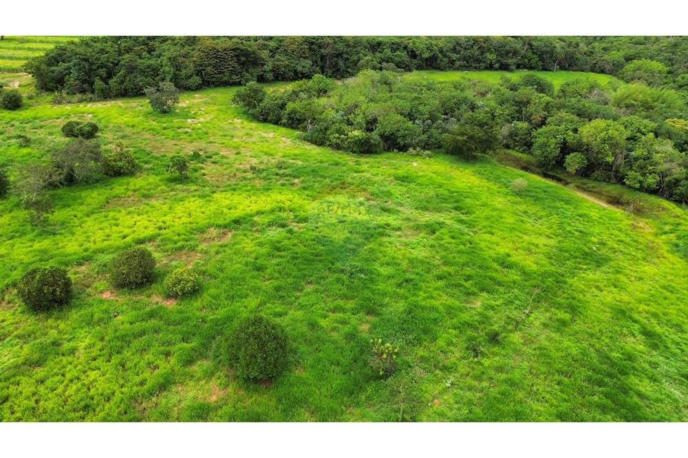 Chácara / Sítio / Fazenda - Venda - São Sebastião do Paraíso , Minas Gerais - SITIO ROMULO BICEGO (9).jpeg - 870811007-131