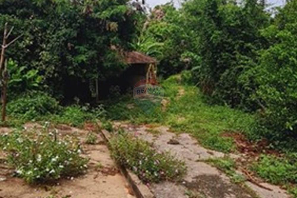 Fazenda - Venda - Pedro Leopoldo , Minas Gerais - WhatsApp Image 2025-12-11 at 15.18.39 (3).jpeg - 870411117-34