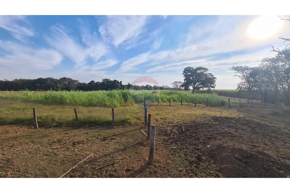 Fazenda - Venda - Uberaba , Minas Gerais - 45 Fazenda Venda R$ 6.500.000 em Uberaba na Remax 870291025-116.jpeg - 870291025-116