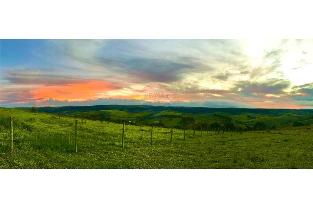 Fazenda - Venda - São Roque de Minas , Minas Gerais - 26 - 870431039-47