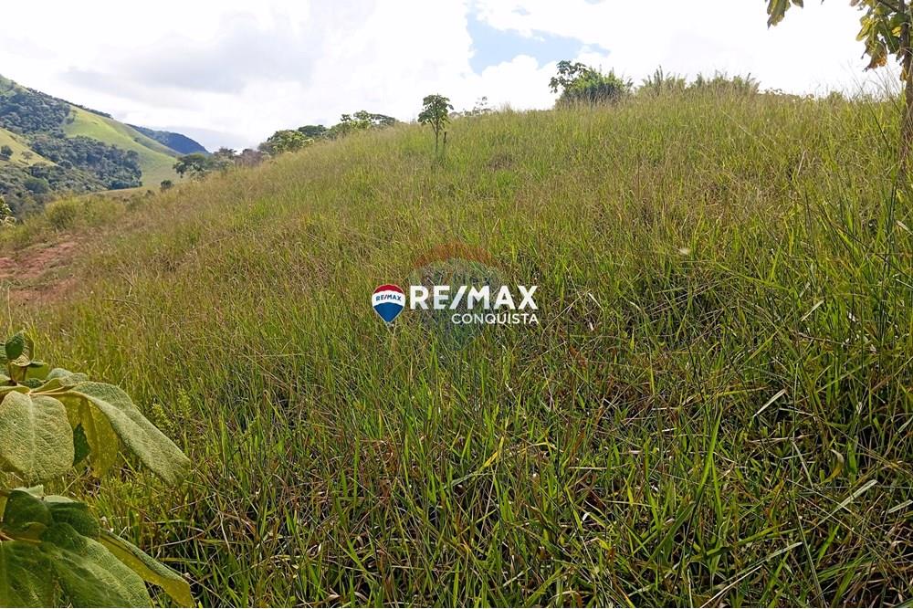 Chácara / Sítio / Fazenda - Venda - Conceição de Ipanema , Minas Gerais - 6_image_6_watermark_sáb._12042025_141700.jpg - 870451013-61