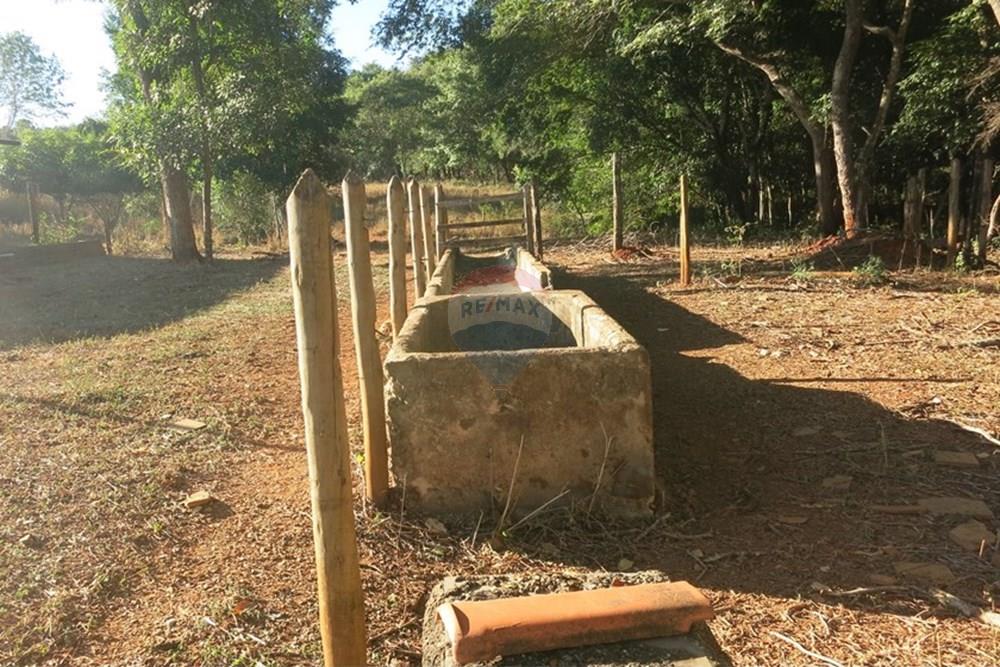 Chácara / Sítio / Fazenda - Venda - Pedro Leopoldo , Minas Gerais - IMG_3987.JPG - 870411101-6