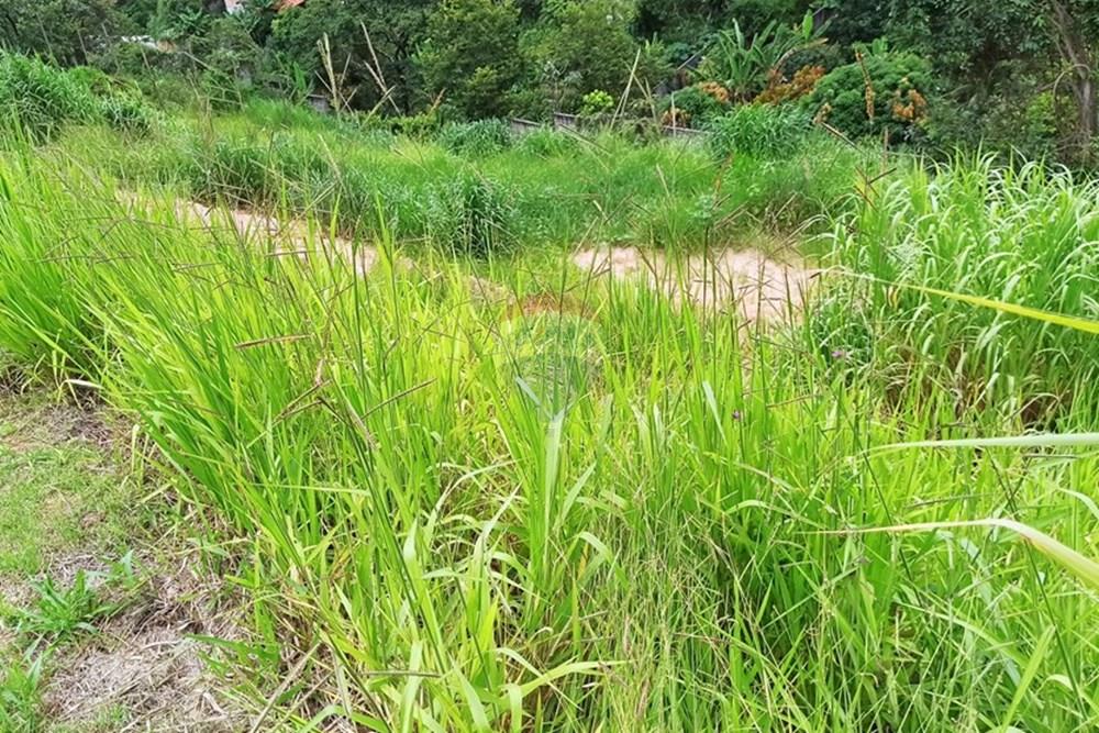 Chácara / Sítio / Fazenda - Venda - Ibirité , Minas Gerais - 1739041162919.jpg - 870421081-4