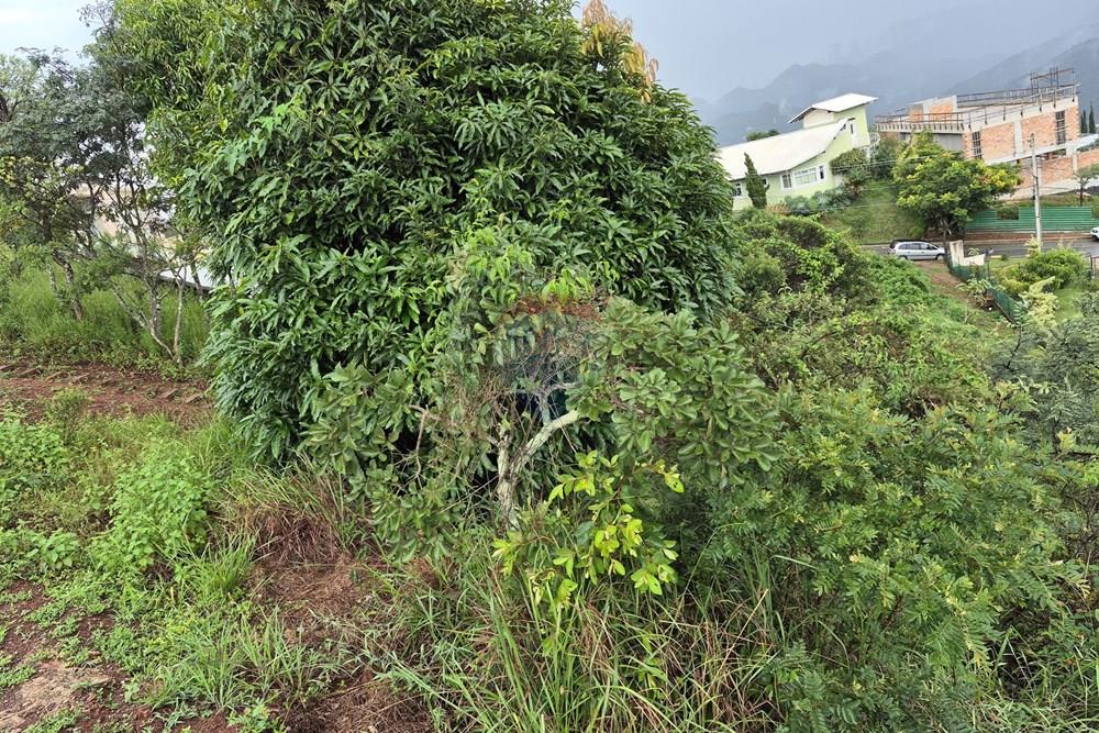 Terreno - Venda - Nova Lima , Minas Gerais - 20260318_105700.jpg - 870421084-35