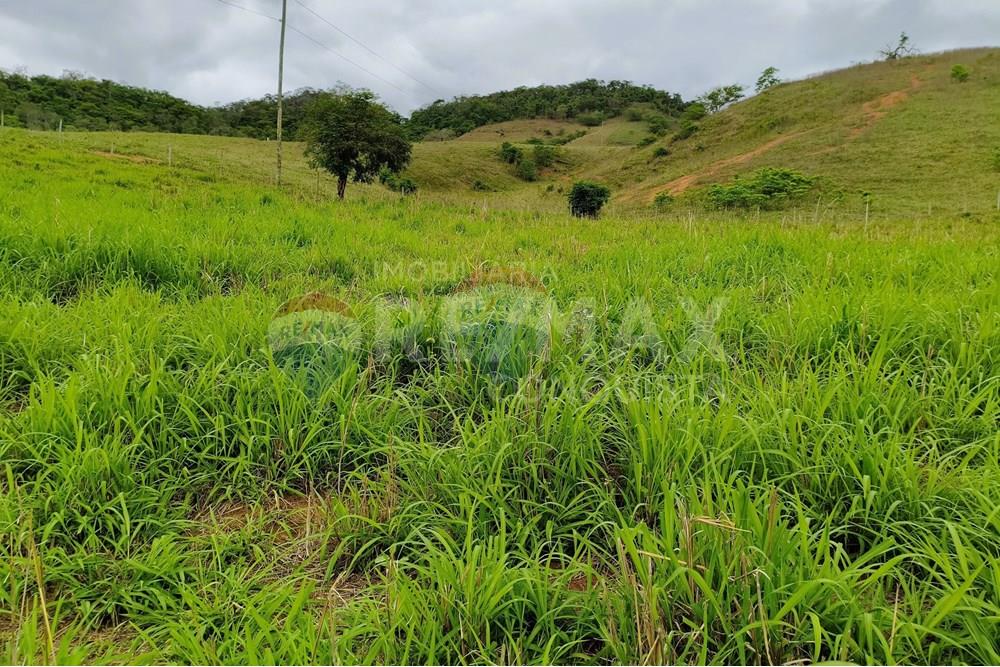 Chácara / Sítio / Fazenda - Venda - Ipanema , Minas Gerais - 0_image_0_watermark_qui._20112025_124952.jpg - 870451013-80
