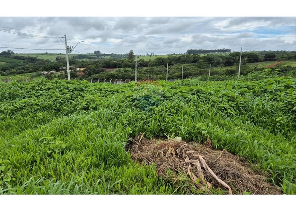 Terreno - Venda - Araxá , Minas Gerais - RODRIGO 1.jpeg - 870431054-10