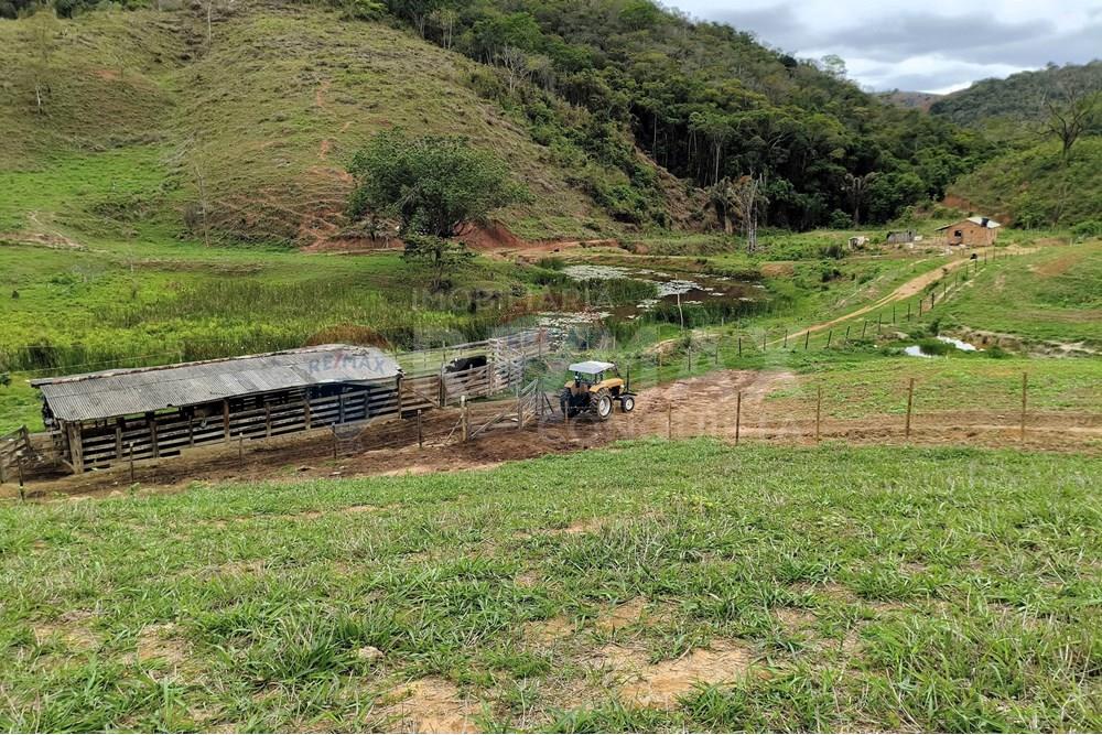 Chácara / Sítio / Fazenda - Venda - Ipanema , Minas Gerais - 8_image_8_watermark_qui._20112025_124804.jpg - 870451013-80