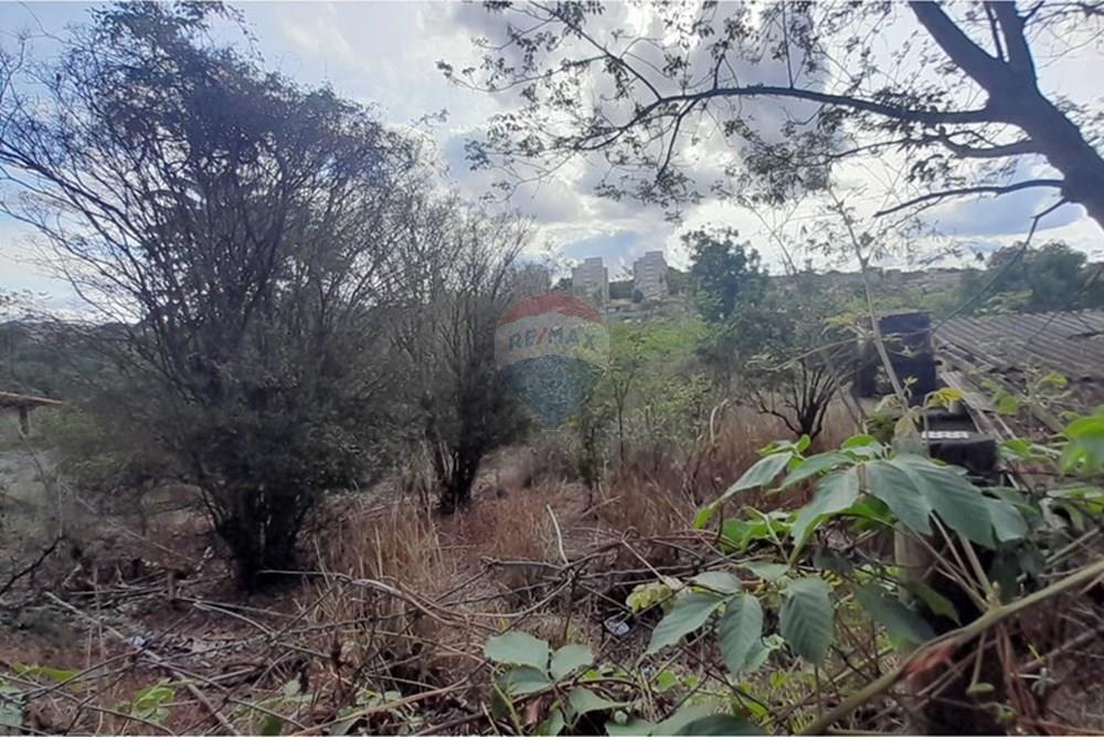 Terreno - Venda - Lagoa Santa , Minas Gerais - FOTO3.jpg - Layout aberto - 870421119-44