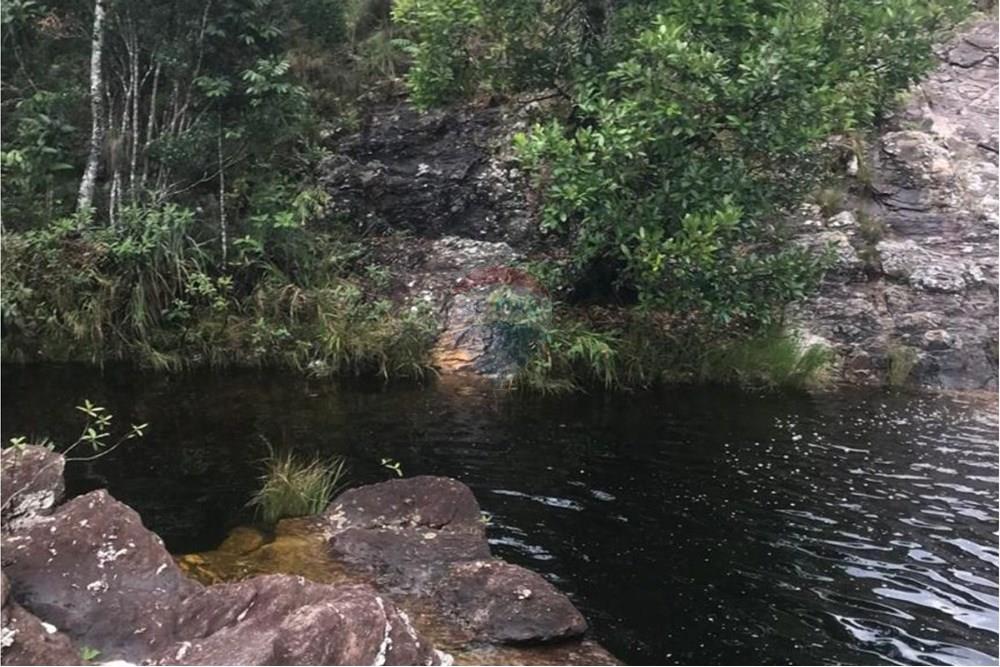 Chácara / Sítio / Fazenda - Venda - Delfinópolis , Minas Gerais - 21.jpg - 870721005-23