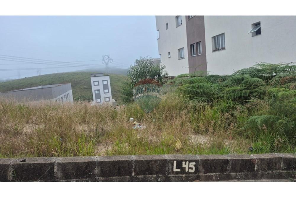 Terreno - Venda - Poços de Caldas , Minas Gerais - vista frontal do passeio para interior do terreno.jpeg - 870361003-14