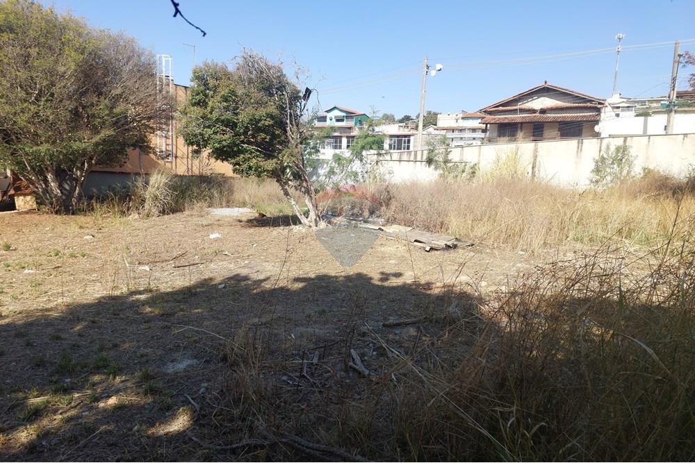 Terreno - Venda - Contagem , Minas Gerais - 20250909_145543.jpg - 870241162-7