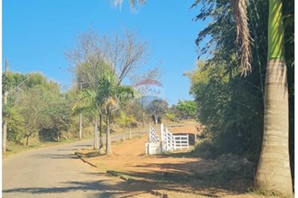 Chácara / Sítio / Fazenda - Venda - Casa Grande , Minas Gerais - foto 16.jpeg - 870411117-20