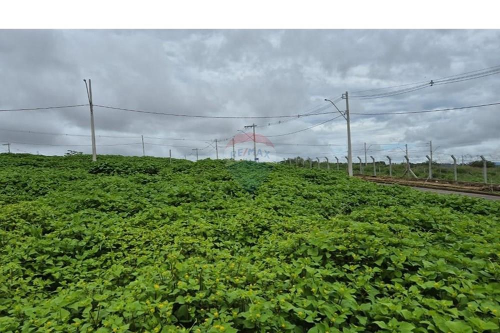 Terreno - Venda - Araxá , Minas Gerais - RODRIGO 8.jpeg - 870431054-10