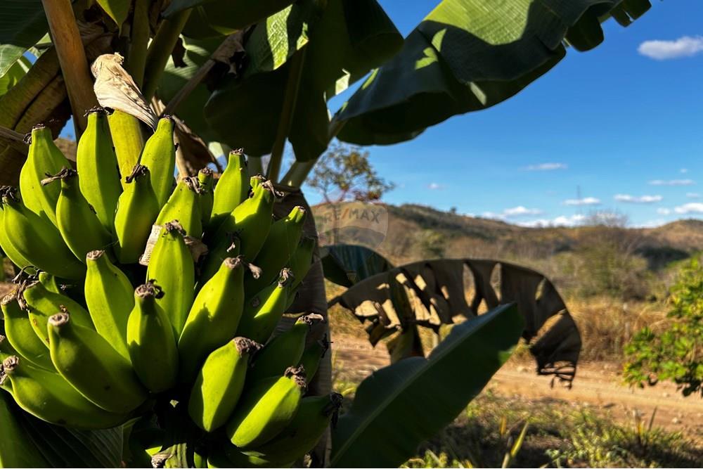 Chácara / Sítio / Fazenda - Venda - Governador Valadares , Minas Gerais - IMG_3005.jpg - 870671001-156