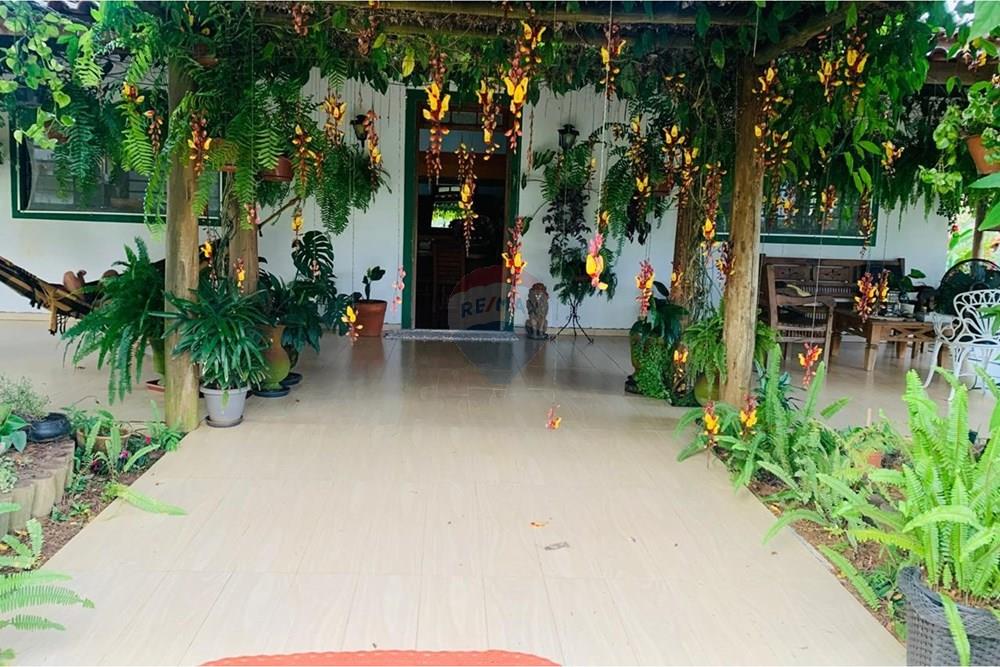 Chácara / Sítio / Fazenda - Venda - Delfinópolis , Minas Gerais - IMG-20250623-WA0031.jpg - 870721005-35