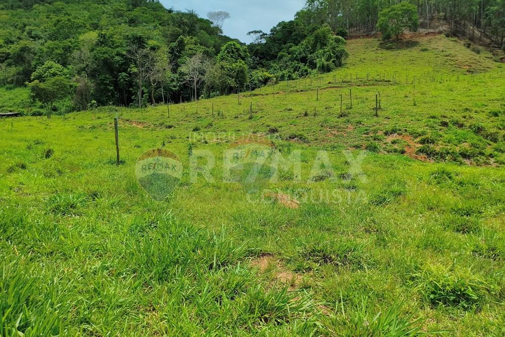 Chácara / Sítio / Fazenda - Venda - Taparuba , Minas Gerais - 0_image_0_watermark_ter._17022026_130807.jpg - 870451001-165