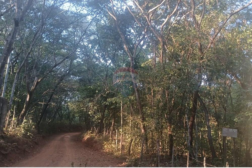 Chácara / Sítio / Fazenda - Venda - Pedro Leopoldo , Minas Gerais - 20250609_164144.jpg - 870411101-6