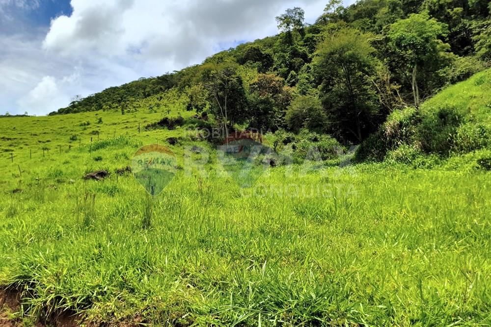 Chácara / Sítio / Fazenda - Venda - Taparuba , Minas Gerais - 4_image_4_watermark_ter._17022026_130644.jpg - 870451001-165