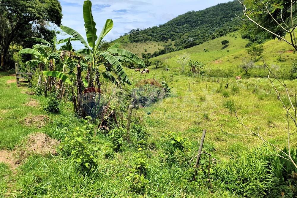 Chácara / Sítio / Fazenda - Venda - Taparuba , Minas Gerais - 7_image_7_watermark_ter._17022026_130811.jpg - 870451001-165