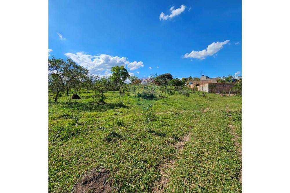 Terreno - Venda - Contagem , Minas Gerais - 20260112_152448.jpg - Quintal - 870241034-67