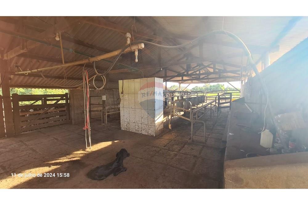 Chácara / Sítio / Fazenda - Venda - Uberaba , Minas Gerais -  (5).jpeg - 870291025-115