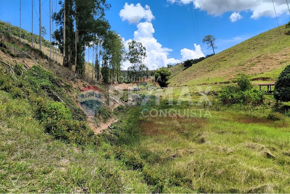 Chácara / Sítio / Fazenda - Venda - Taparuba , Minas Gerais - 5_image_5_watermark_sex._19122025_102211.jpg - 870451001-158