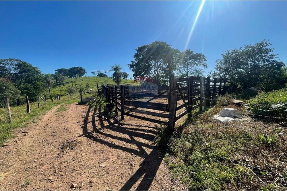 Chácara / Sítio / Fazenda - Venda - Araxá , Minas Gerais - 24.jpg - 870431045-37