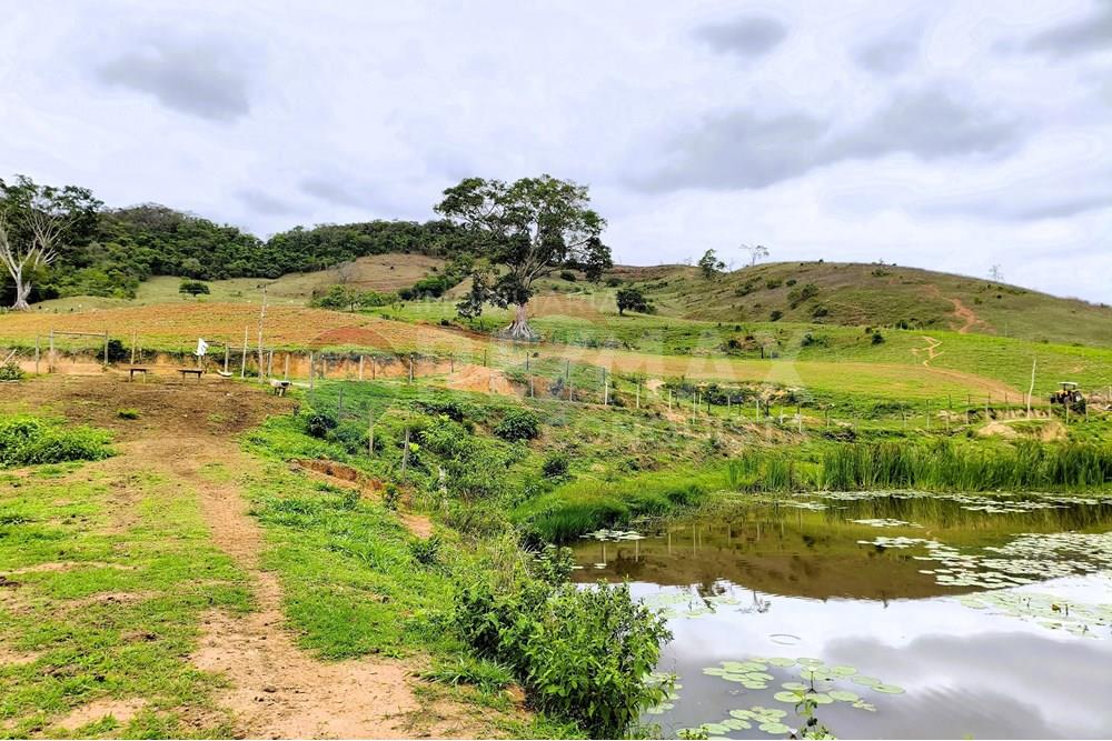 Chácara / Sítio / Fazenda - Venda - Ipanema , Minas Gerais - 6_image_6_watermark_qui._20112025_124548.jpg - 870451013-80