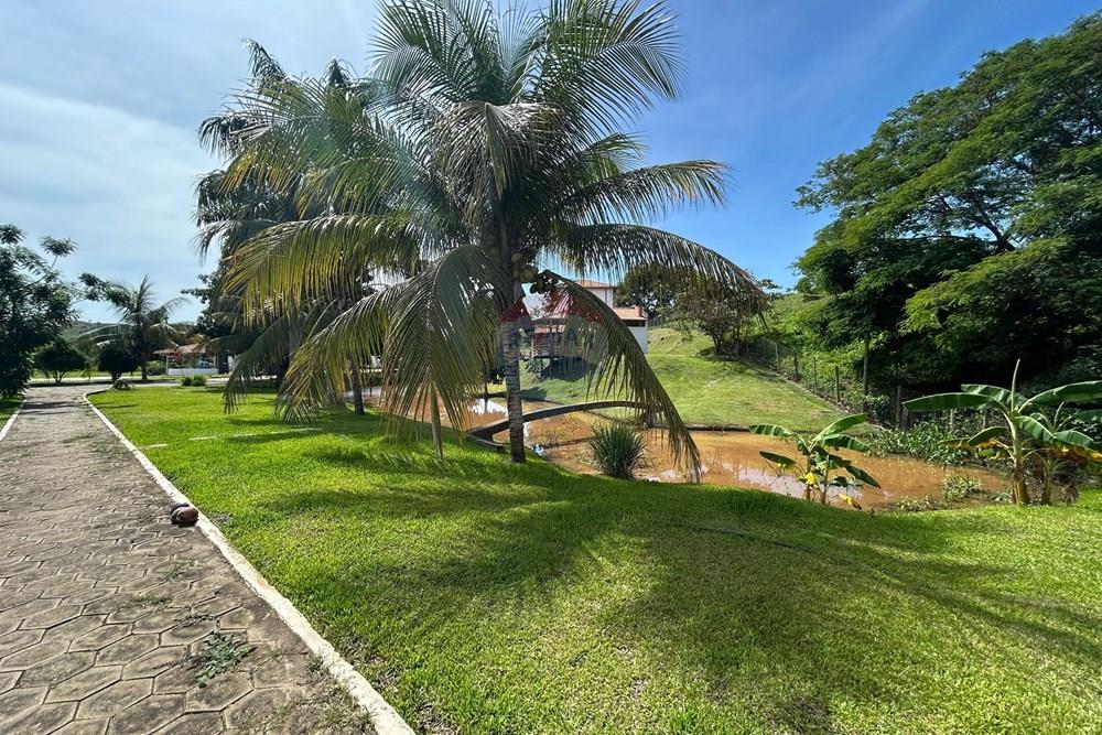 Chácara / Sítio / Fazenda - Venda - Alpercata , Minas Gerais - 11.jpeg - 870671001-168