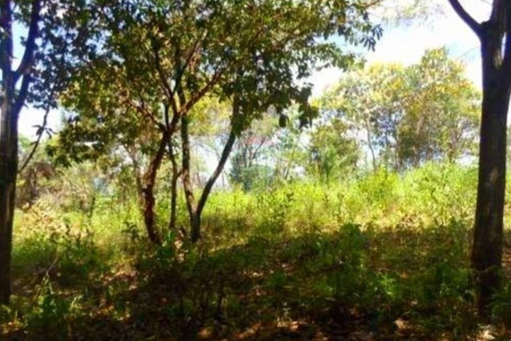 Terreno - Venda - Nova Lima , Minas Gerais - Foto terreno Campo do Pires 4.jpeg - 870241097-38