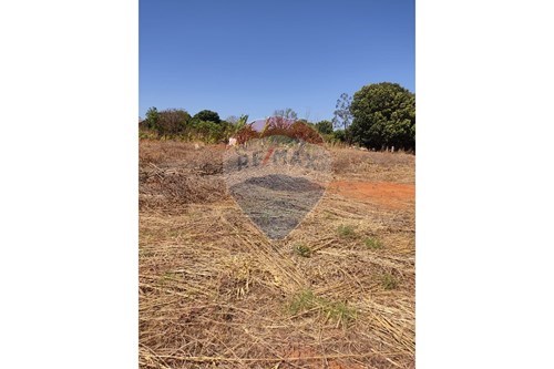 Venda-Terreno-Ponte Alta , Gama , Distrito Federal , 72428010-880201061-3