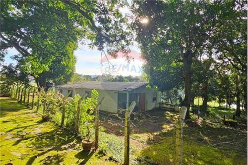 Chácara / Sítio / Fazenda - Venda - Gama , Distrito Federal - 12 - 880321005-55