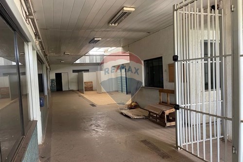 Alugar-Prédio-Arniqueiras , Águas Claras , Distrito Federal , 71990180-880441001-15