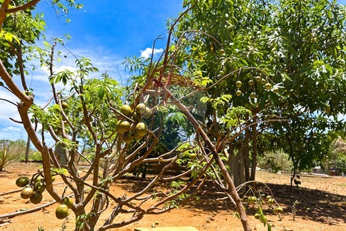 Slider Image Thumbnail