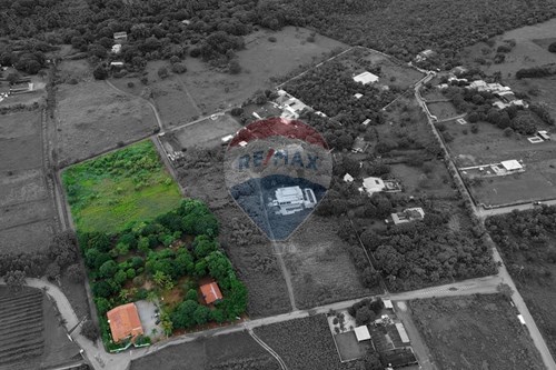 Venda-Chácara / Sítio / Fazenda-Nucleo Rural Casa Grande , 19  - Villa Bé  - Ponte Alta , Gama , Distrito Federal , 72428010-880241072-5