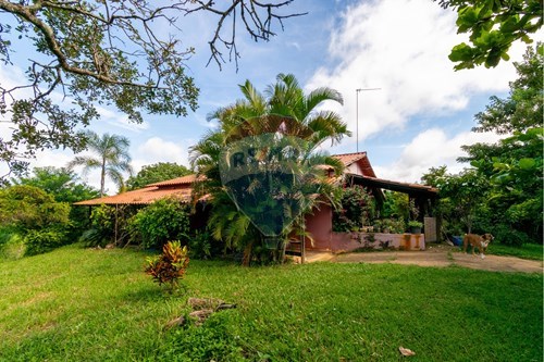 Venda-Chácara / Sítio / Fazenda-Planaltina , Planaltina , Distrito Federal , 73380130-880341026-72
