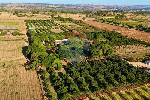 Venda-Chácara / Sítio / Fazenda-Gleba 02 , Lote 131  - Zona Rural , Brazlandia , Distrito Federal , 72773010-880351001-200