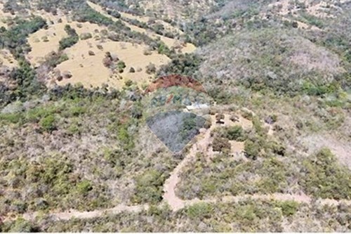 Venda-Chácara / Sítio / Fazenda-ÁREA RURAL DE LUZIÂNIA-GO , 00  - ANTIGA FAZENDAS ANEXAS SAIA VELHA .  - Centro , Luziânia , Goiás , 72800060-880231017-81