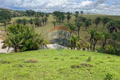 Venda-Chácara / Sítio / Fazenda-Cocalzinho de Goiás , Cocalzinho de Goiás , Goiás , 72975000-880351098-3