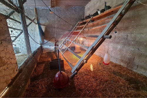 Slider Image Thumbnail