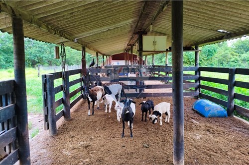 Slider Image Thumbnail