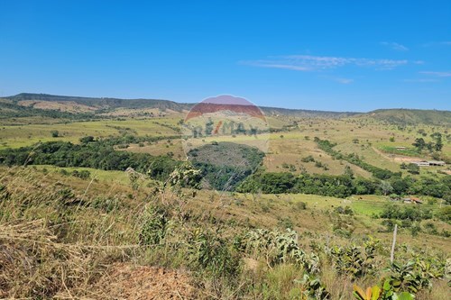 Venda-Chácara / Sítio / Fazenda-Zona Rural , Brasília , Distrito Federal , 710000000-880321021-70